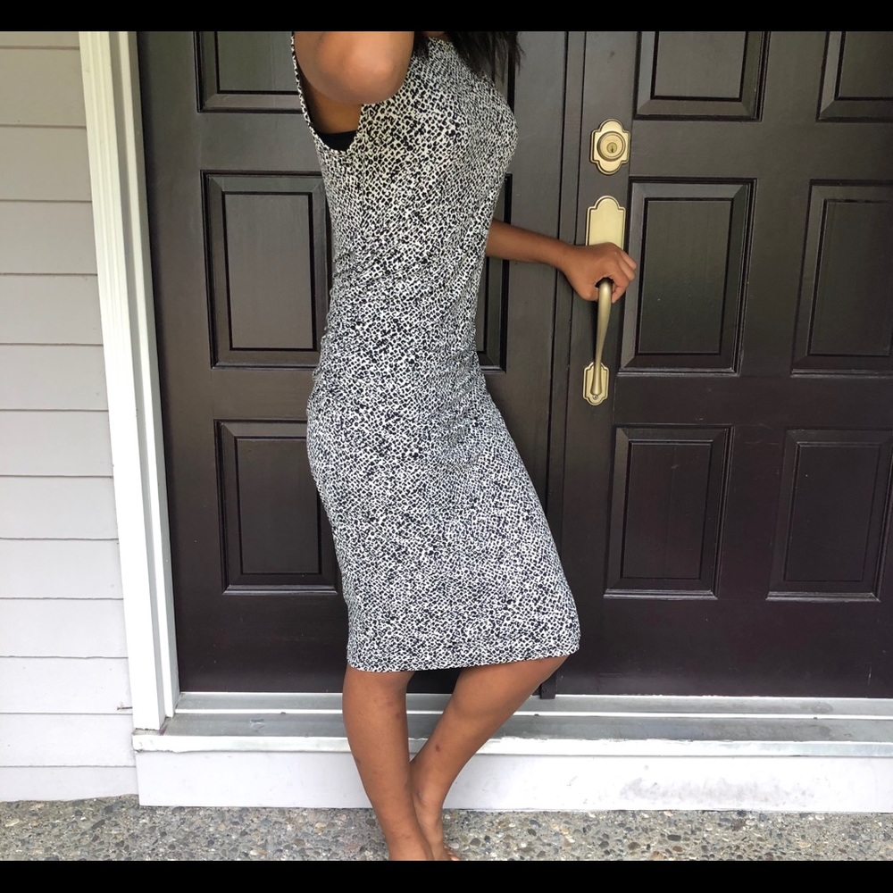 Banana republic animal print dress